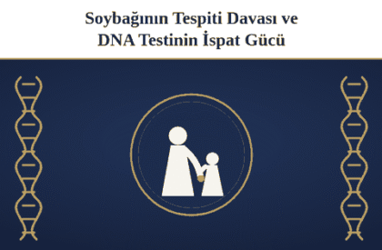 cover-tr